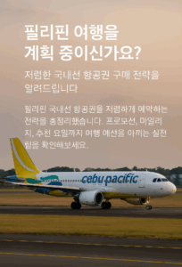 필리핀 국내 항공권 싸게 사는 법
