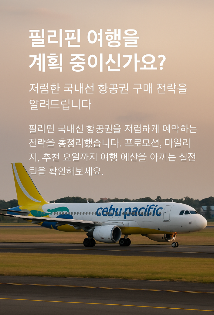 필리핀 국내 항공권 싸게 사는 법